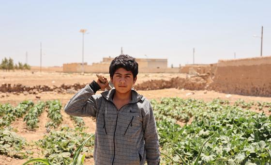 (أرشيف) مراهق يساعد في الاعتناء بحقل عائلته في سوريا.